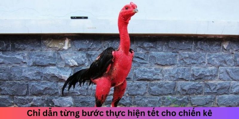 Tết Lông Gà Đá Như Thế Nào Để Tăng Sức Bền Chuẩn Và Đẹp 2 Trang Chủ Jun88.com #1 Việt Nam Chỉ dẫn từng bước thực hiện tết cho chiến kê